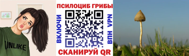Галлюциногенные грибы Magic Shrooms  OMG   Воткинск 
